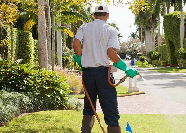 About Stowe VT Pest Control